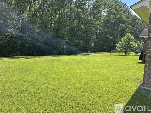 A well-maintained lawn with a house and trees in the background.