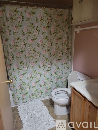 A bathroom with a floral shower curtain and a white toilet.