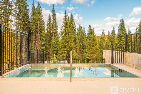 A pool surrounded by a black fence with trees in the background.