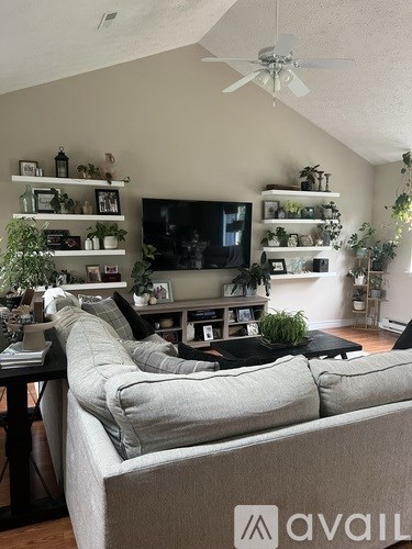 A living room with a grey couch and a television on a black stand.