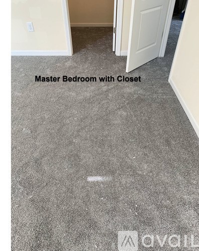 A room with a carpeted floor and a closet.