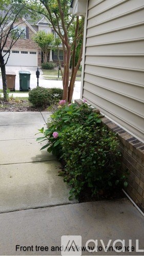 A front yard with a tree and a sidewalk.