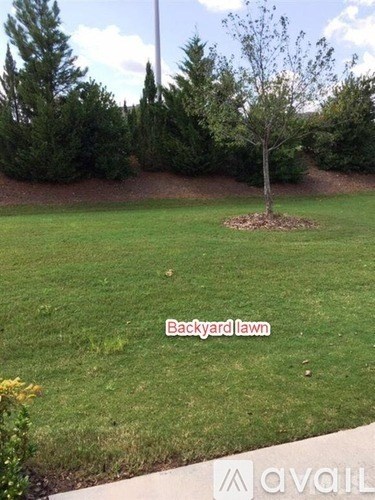 A tree in a yard with the words "Backyard lawn" written on the image.