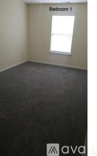 A large empty room with a window and carpeted floor.