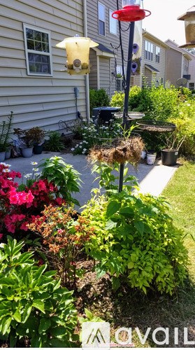 A garden with a red object in the middle.