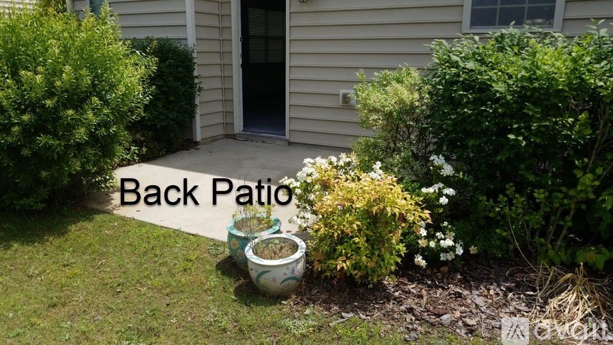 A back patio area with a potted plant and a white flower.