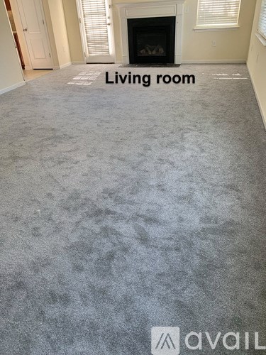 A living room with a fireplace and a carpet.