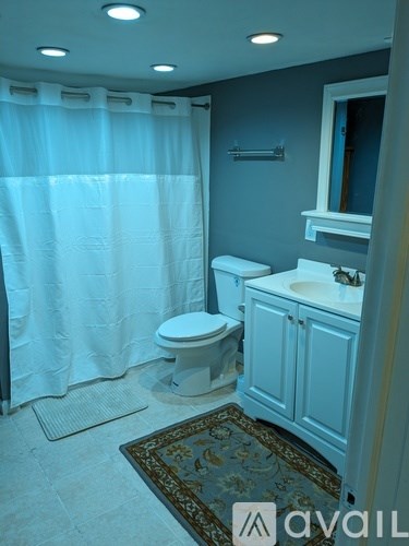 A bathroom with a toilet, sink, and shower curtain.