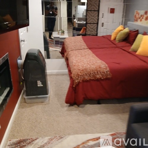 A bedroom with a red bedspread and a red accent wall.