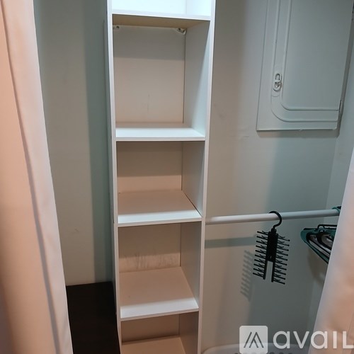 A white closet with shelves and a hanger.
