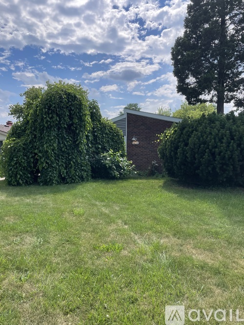A grassy area with a tree and a building in the background.