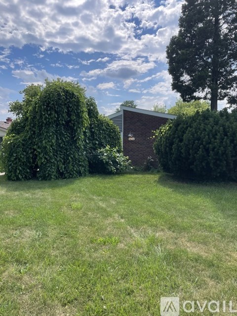 A grassy area with a tree and a building in the background.