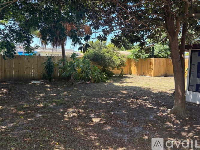 A backyard with a tree and a fence.