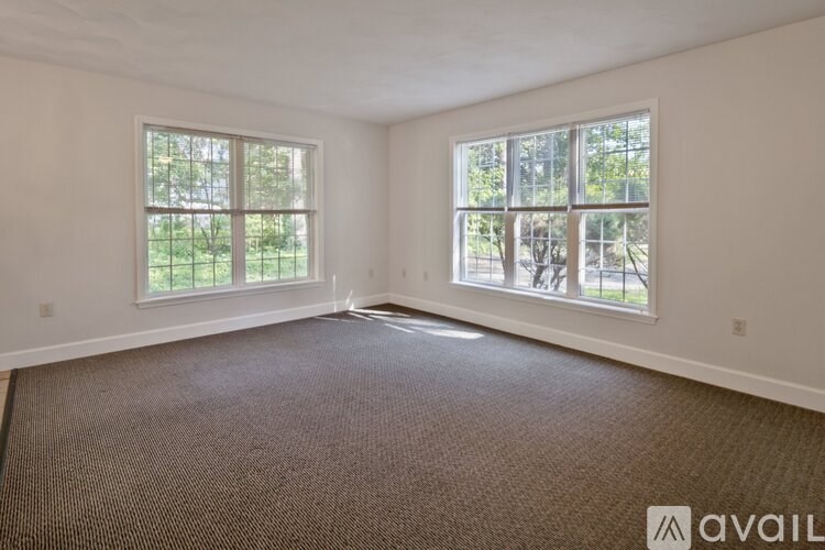 A room with two windows and carpeted floor.