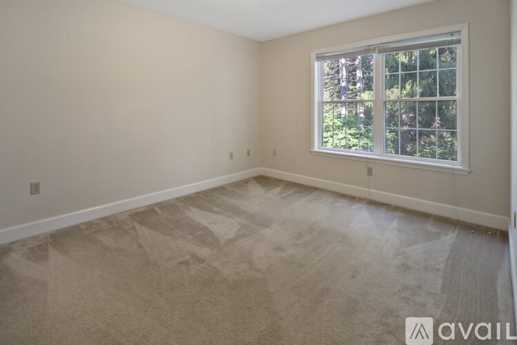 A room with a carpeted floor and a window showing trees outside.