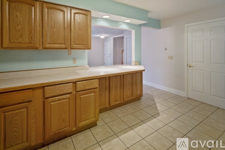 A kitchen with wooden cabinets and a countertop.