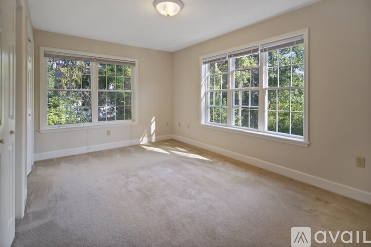 A room with two windows and carpeted floor.