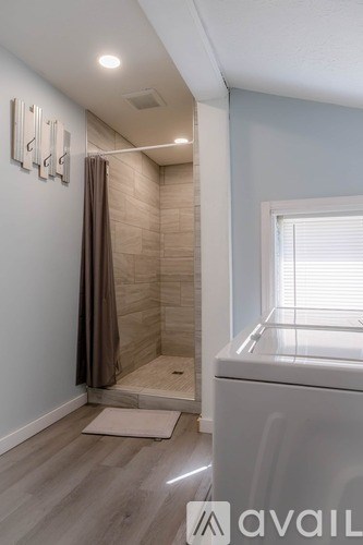 A bathroom with a walk-in shower and a toilet.