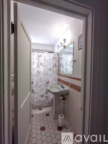 A bathroom with a sink, mirror, and shower curtain.