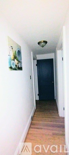 A backyard with a lawn and a shed.