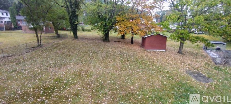 A grassy field with a shed and trees.