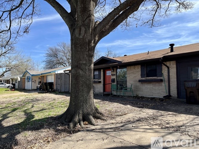 A tree stands in front of a house with a driveway.
