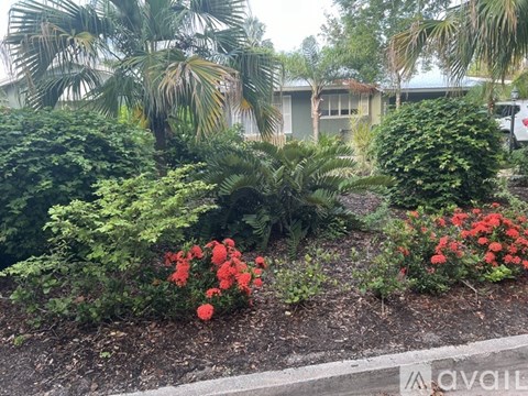 A garden with red flowers and green shrubs.