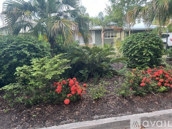 A garden with red flowers and green shrubs.