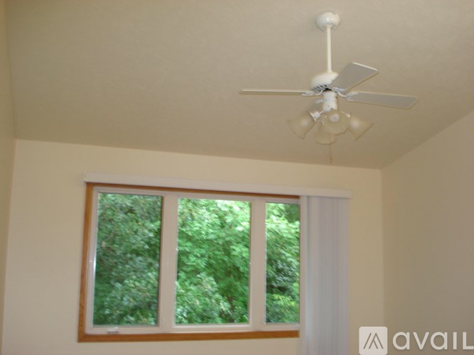 A white ceiling fan hangs over a window with a view of trees.