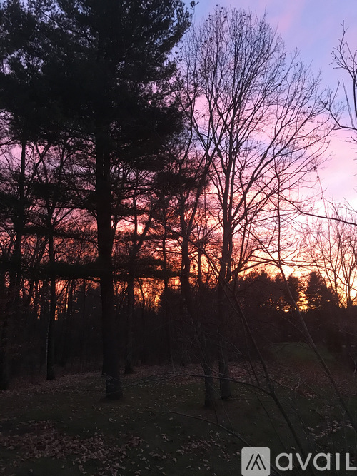 A beautiful sunset with trees silhouetted against the sky.