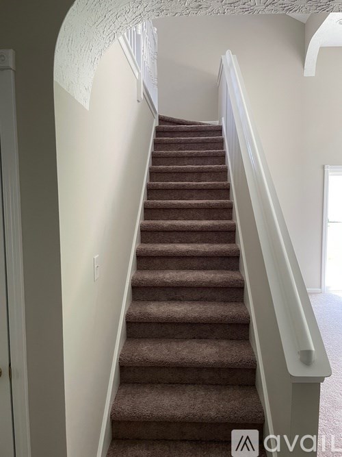 A staircase with a brown carpeted runner and white balusters.