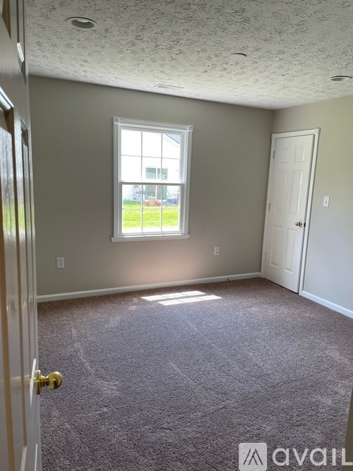 A room with a carpeted floor and a window letting in sunlight.