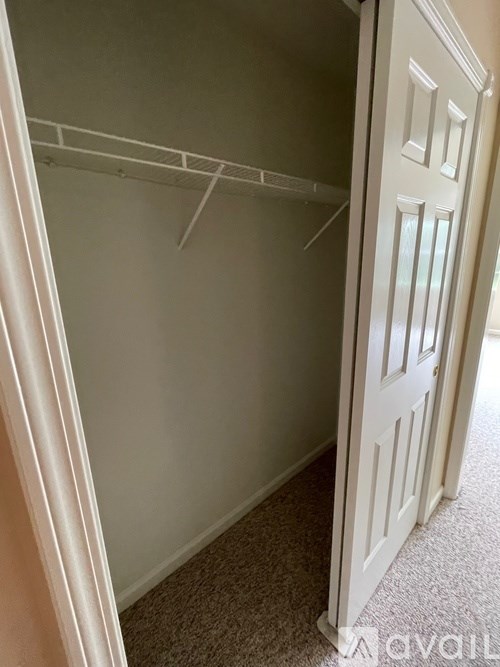 A white closet with a carpeted floor and a white door.