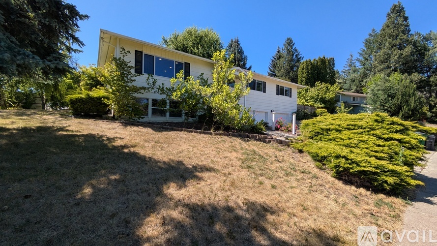 A house with a white and yellow exterior is surrounded by greenery.