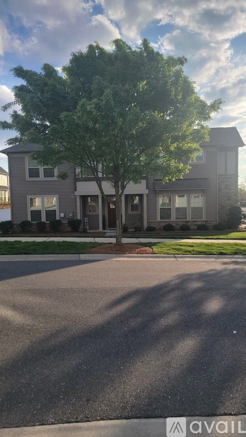 A tree in front of a grey house.
