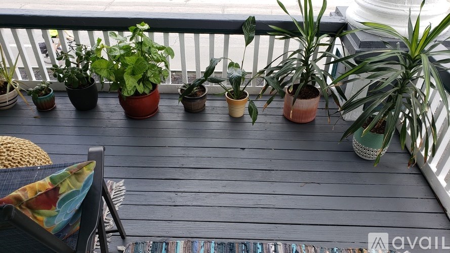 A balcony with a variety of potted plants on a wooden floor.