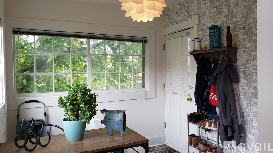 A room with a table, a potted plant, a watering can, and a shelf with clothes.