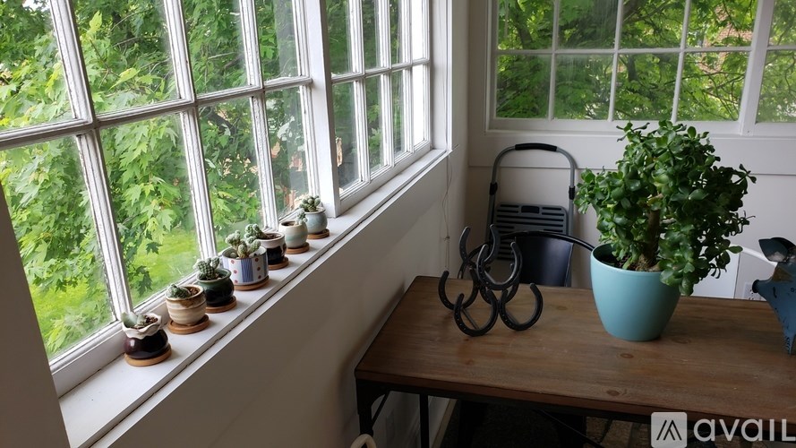 A row of potted plants sits on a windowsill next to a blue pot.