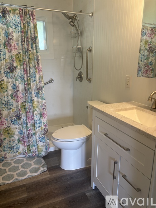 A bathroom with a floral shower curtain and a white toilet.