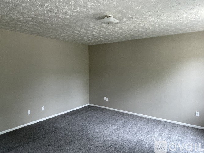 A room with a grey carpet and a white ceiling.