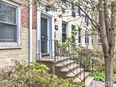 A tree is in front of a building with a black gate.