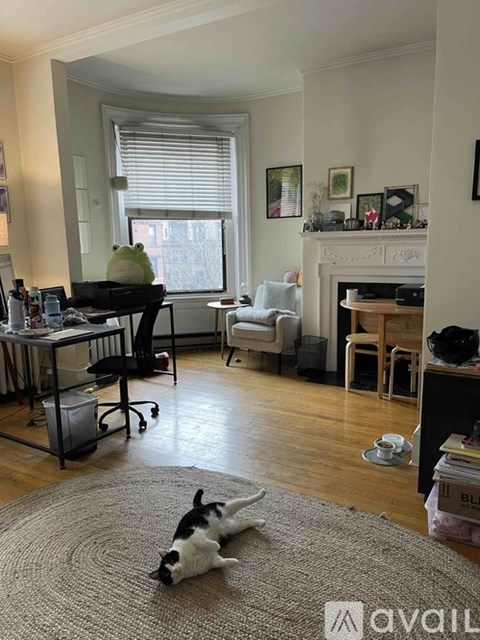 A dog is lying on a rug in a living room.