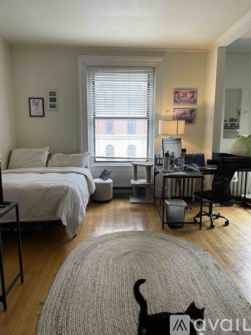 A bedroom with a bed, desk, and chair.