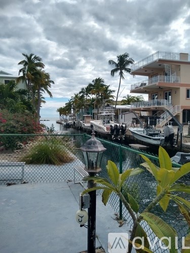 A view of a marina with boats and palm trees.