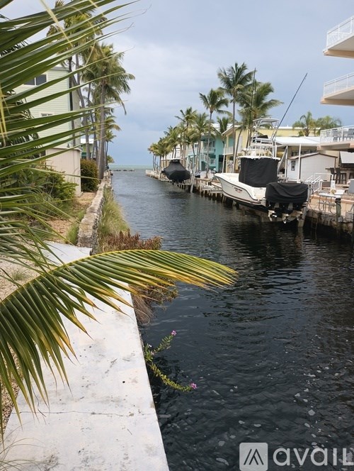 A boat is docked at a marina with palm trees in the background.