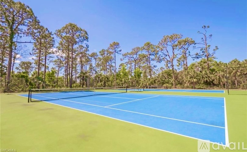 A tennis court surrounded by trees under a clear blue sky.
