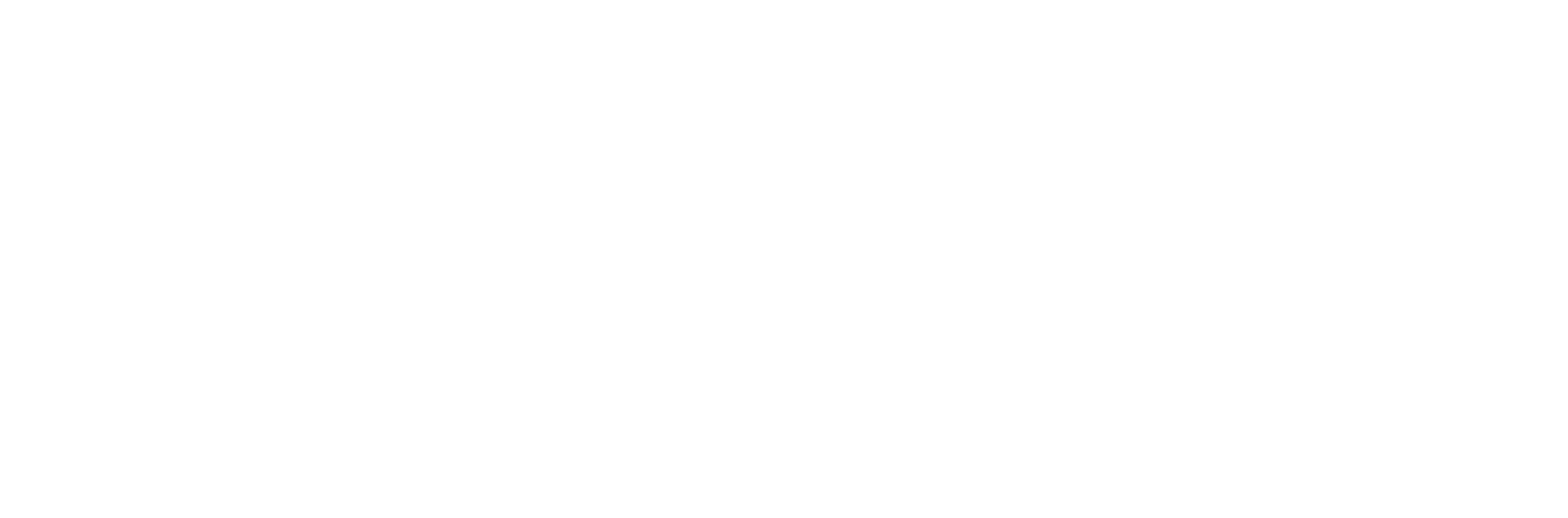 Skyview Sunset logo