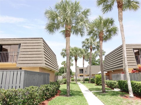 A row of houses with palm trees in front.