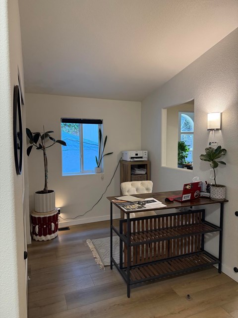 A white wall with a mirror and a plant on it.