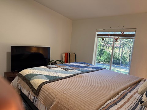 A bedroom with a large bed and a flat screen TV.